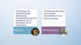 • Existencia de
características
definitorias
(manifestaciones del
problema) en el
momento de la
valoración.
REALES
• Problemas de salud
que pueden
presentarse en un
• futuro próximo
POTENCIALES
 