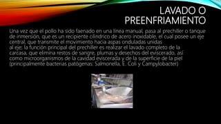 LAVADO O
PREENFRIAMIENTO
Una vez que el pollo ha sido faenado en una línea manual, pasa al prechiller o tanque
de inmersión, que es un recipiente cilindrico de acero inoxidable, el cual posee un eje
central, que transmite el movimiento hacia aspas onduladas unidas
al eje; la función principal del prechiller es realizar el lavado completo de la
carcasa, que elimina restos de sangre, plumas y desechos del eviscerado, así
como microorganismos de la cavidad eviscerada y de la superficie de la piel
(principalmente bacterias patógenas: Salmonella, E. Coli y Campylobacter)
 