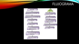 FLUJOGRAMA
 