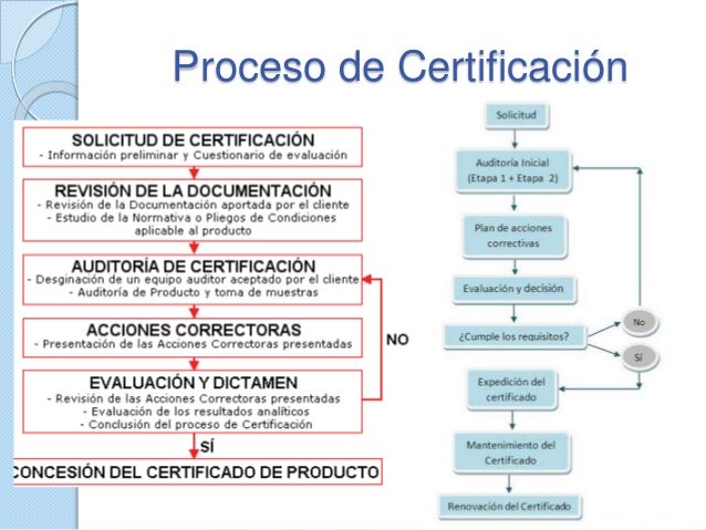Proceso De Certificación