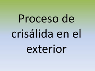 Proceso de
crisálida en el
exterior
 