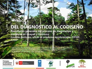 Del diagnóstico al codiseño: Resultados generales del proceso de diagnóstico y codiseño en Ucayali y Huánuco