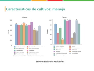 Del diagnóstico al codiseño: Resultados generales del proceso de diagnóstico y codiseño en Ucayali y Huánuco