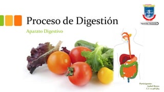 Proceso de Digestión
Aparato Digestivo
Participante:
Isabel Reyes
C.I. 12.918.564
 