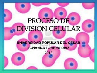 UNIVERSIDAD POPULAR DEL CESAR
     JOHANNA TORRES DIAZ
             2013
 