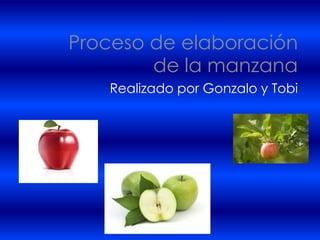 Proceso de elaboración
de la manzana
Realizado por Gonzalo y Tobi
 