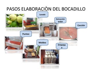 PASOS ELABORACIÒN DEL BOCADILLO
               Lavado

                        Extracción
                          pulpa
                                     Cocción


      Punteo


               Moldeo
                          Empaqu
                            e
 