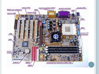 Ranuras de memoria RAM: Conexión de memoria RAM.