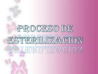 Proceso de esterilizacion