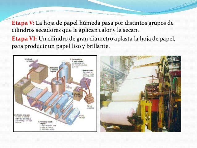 Proceso de fabricación del papel