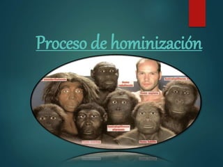Proceso de hominización
 