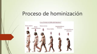 Proceso de hominización
 