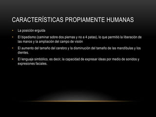 CARACTERÍSTICAS PROPIAMENTE HUMANAS
• La posición erguida
• El bipedismo (caminar sobre dos piernas y no a 4 patas), lo que permitió la liberación de
las manos y la ampliación del campo de visión
• El aumento del tamaño del cerebro y la disminución del tamaño de las mandíbulas y los
dientes.
• El lenguaje simbólico, es decir, la capacidad de expresar ideas por medio de sonidos y
expresiones faciales.
 