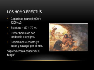• Capacidad craneal: 900 y
1200 cc3.
• Estatura: 1,50 1,70 m.
• Primer homínido con
tendencia a emigrar.
• Posiblemente construyó
botes y navegó por el mar.
*Aprendieron a conservar el
fuego*
LOS HOMO-ERECTUS
 