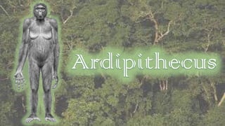 Proceso de hominización-Ardipithecus.pdf