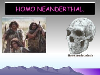 HOMO NEANDERTHAL. 