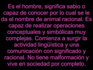 Es el hombre, significa sabio o capaz de conocer por lo cual se le da el nombre de animal racional. Es capaz de realizar operaciones conceptuales y simbólicas muy complejas. Comienza a surgir la actividad lingüística y una comunicación con significado y racional. No tiene malformación y vive en sociedad por completo. 