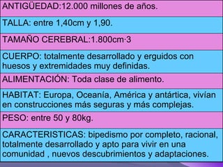 CARACTERISTICAS: bipedismo por completo, racional, totalmente desarrollado y apto para vivir en una comunidad , nuevos descubrimientos y adaptaciones. PESO: entre 50 y 80kg. HABITAT: Europa, Oceanía, América y antártica, vivían en construcciones más seguras y más complejas. ALIMENTACIÓN: Toda clase de alimento. CUERPO: totalmente desarrollado y erguidos con huesos y extremidades muy definidas. TAMAÑO CEREBRAL:1.800cm·3 TALLA: entre 1,40cm y 1,90. ANTIGÜEDAD:12.000 millones de años. 