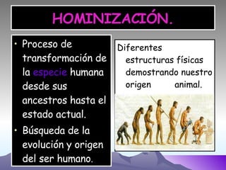 HOMINIZACIÓN. Proceso de transformación de la  especie  humana  desde sus ancestros hasta el estado actual.  Búsqueda de la evolución y origen del ser humano . Diferentes estructuras físicas demostrando nuestro origen  animal. 