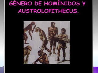 GÉNERO DE HOMÍNIDOS Y  AUSTROLOPITHECUS. 