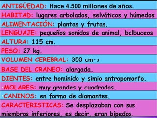 CARACTERISTICAS:   Se desplazaban con sus miembros inferiores, es decir, eran bípedos . CANINOS:  en forma de diamantes. MOLARES:  muy grandes y cuadrados. DIENTES:  entre homínido y simio antropomorfo. BASE DEL CRANEO:  alargada. VOLUMEN CEREBRAL:  350 cm· 3 PESO:  27 kg. ALTURA:  115 cm. LENGUAJE:  pequeños sonidos de animal, balbuceos  ALIMENTACIÓN:  plantas y frutas. HABITAD:  lugares arbolados, selváticos y húmedos ANTIGÜEDAD:   Hace 4.500 millones de años. 