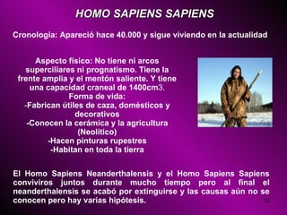 HOMO SAPIENS SAPIENS Cronología: Apareció hace 40.000 y sigue viviendo en la actualidad   Aspecto físico: No tiene ni arcos superciliares ni prognatismo. Tiene la frente amplia y el mentón saliente. Y tiene una capacidad craneal de 1400cm 3. Forma de vida: - Fabrican útiles de caza, domésticos y decorativos -Conocen la cerámica y la agricultura (Neolítico) -Hacen pinturas rupestres -Habitan en toda la tierra El Homo Sapiens Neanderthalensis y el Homo Sapiens Sapiens conviviros juntos durante mucho tiempo pero al final el neanderthalensis se acabó por extinguirse y las causas aún no se conocen pero hay varias hipótesis.  