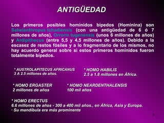 ANTIGÜEDAD Los primeros posibles homínidos bípedos (Hominina) son  Sahelanthropus tchadiensis  (con una antigüedad de 6 ó 7 millones de años),  Orrorin tugenensis  (unos 6 millones de años) y  Ardipithecus  (entre 5,5 y 4,5 millones de años). Debido a la escasez de restos fósiles y a lo fragmentario de los mismos, no hay acuerdo general sobre si estos primeros homínidos fueron totalmente bípedos. * AUSTROLAPITECUS AFRICANUS 3 A 2.5 millones de años. * HOMO HABILIS 2.5 a 1.8 millones en África. * HOMO ERGASTER 2 millones de años * HOMO NEARDENTHALENSIS 100 mil años * HOMO ERECTUS 6.6 millones de años - 300 a 400 mil años., en África, Asia y Europa. · Su mandíbula era más prominente   