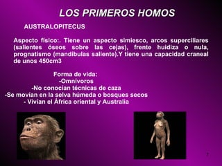 Aspecto físico:. Tiene un aspecto simiesco, arcos superciliares (salientes óseos sobre las cejas), frente huidiza o nula, prognatismo (mandíbulas saliente).Y tiene una capacidad craneal de unos 450cm3 Forma de vida:  -Omnívoros -No conocían técnicas de caza -Se movían en la selva húmeda o bosques secos - Vivían el África oriental y Australia LOS PRIMEROS HOMOS AUSTRALOPITECUS 