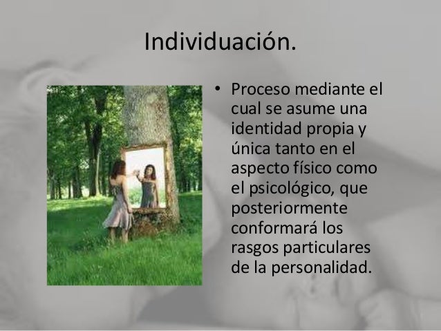 Proceso de individuación, ¿Cómo llegamos a ser los individuos con car…