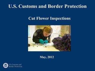 U.S. Customs and Border Protection

        Cut Flower Inspections




             May, 2012
 