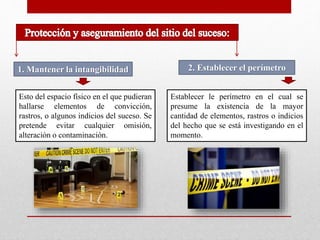 1. Mantener la intangibilidad 
Esto del espacio físico en el que pudieran 
hallarse elementos de convicción, 
rastros, o algunos indicios del suceso. Se 
pretende evitar cualquier omisión, 
alteración o contaminación. 
2. Establecer el perímetro 
Establecer le perímetro en el cual se 
presume la existencia de la mayor 
cantidad de elementos, rastros o indicios 
del hecho que se está investigando en el 
momento. 
 