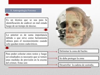 5. Antropología Forense 
Es un técnica que se usa para la 
identificación de cadáver en mal estado 
luego de un tiempo de deceso. 
Lo anterior es de suma importancia 
debido a que sirve como herramienta 
idónea para el reconocimiento cuando 
solo quedan restos cadavéricos. 
Para poder colectar estos restos y luego 
ser estudiados es necesario que se tomen 
unas medidas de previsión en la escena 
del crimen. Estas son: 
Delimitar la zona del hecho. 
Se debe proteger la zona 
Desarrollar la cadena de custodia. 
 