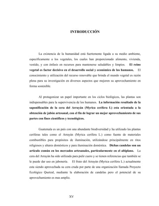 INTRODUCCIÓN
La existencia de la humanidad está fuertemente ligada a su medio ambiente,
específicamente a los vegetales, los cuales han proporcionado alimento, vivienda,
vestido, y con énfasis en recursos para mantenerse saludables y limpios. El reino
vegetal es factor decisivo en el desarrollo social y económico de los humanos. El
conocimiento y utilización del recurso renovable que brinda el mundo vegetal es razón
plena para su investigación en diversos aspectos que mejoren su aprovechamiento en
forma sostenible.
Al protagonizar un papel importante en los ciclos biológicos, las plantas son
indispensables para la supervivencia de los humanos. La información resultado de la
saponificación de la cera del Arrayán (Myrica cerífera L) esta orientada a la
obtención de jabón artesanal, con el fin de lograr un mejor aprovechamiento de sus
partes con fines científicos y tecnológicos.
Guatemala es un país con una abundante biodiversidad y ha utilizado las plantas
ceríferas tales como el Arrayán (Myrica cerífera L.) como fuente de materiales
combustibles para propósitos de iluminación, utilizándose principalmente en ritos
religiosos y altares domésticos y para iluminación doméstica. Dichas candelas son un
articulo común en los mercados artesanales, particularmente en el altiplano. La
cera del Arrayán ha sido utilizada para pulir cuero y se tienen referencias que también se
le puede dar uso en jabonería. El fruto del Arrayán (Myrica cerífera L.) actualmente
esta siendo aprovechada su cera cruda por parte de una organización llamada Proyecto
Ecológico Quetzal, mediante la elaboración de candelas pero el potencial de su
aprovechamiento es mas amplio.
XV
 