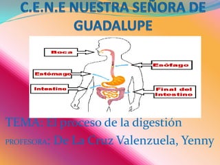 C.E.N.E NUESTRA SEÑORA DE GUADALUPE TEMA: El proceso de la digestión PROFESORA: De La Cruz Valenzuela, Yenny 