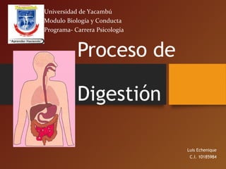 Proceso de
Digestión
Luis Echenique
C.I. 10185984
Universidad de Yacambú
Modulo Biología y Conducta
Programa- Carrera Psicología
 