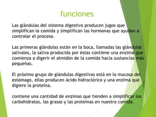 funciones
Las glándulas del sistema digestivo producen jugos que
simplifican la comida y simplifican las hormonas que ayudan a
controlar el proceso.
Las primeras glándulas están en la boca, llamadas las glándulas
salivales, la saliva producida por éstas contiene una enzima que
comienza a digerir el almidón de la comida hacia sustancias más
pequeñas.
El próximo grupo de glándulas digestivas está en la mucosa del
estómago, ellas producen ácido hidroclórico y una enzima que
digiere la proteína.
contiene una cantidad de enzimas que tienden a simplificar los
carbohidratos, las grasas y las proteínas en nuestra comida.
 
