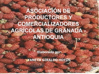 ASOCIACIÓN DE PRODUCTORES Y COMERCIALIZADORES AGRÍCOLAS DE GRANADA - ANTIOQUIA Elaborado por: YANETH GIRALDO  HOYOS   