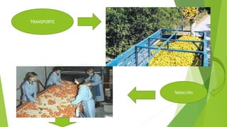 TRANSPORTE
Selección