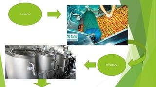 Lavado
Prensado
