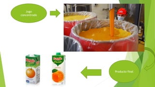 Jugo
concentrado
Producto final