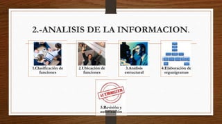 2.-ANALISIS DE LA INFORMACION.
1.Clasificación de
funciones
2.Ubicación de
funciones
3.Análisis
estructural
4.Elaboración de
organigramas
5.Revisión y
autorización
 