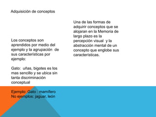Adquisición de conceptos
Una de las formas de
adquirir conceptos que se
alojaran en la Memoria de
largo plazo es la
percepción visual y la
abstracción mental de un
concepto que englobe sus
características.
Los conceptos son
aprendidos por medio del
ejemplo y la agrupación de
sus características por
ejemplo:
Gato: uñas, bigotes es los
mas sencillo y se ubica sin
tanta discriminación
conceptual
Ejemplo: Gato : mamífero
No ejemplos: jaguar, león
 