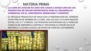 MATERIA PRIMA
• LA CAÑA DE AZÚCAR HA SIDO SIN LUGAR A DUDAS UNO DE LOS
PRODUCTOS DE MAYOR IMPORTANCIA PARA EL DESARROLLO
COMERCIAL EN EL CONTINENTE AMERICANO Y EUROPEO.
• EL PROCESO PRODUCTIVO SE INICIA CON LA PREPARACIÓN DEL TERRENO,
ETAPA PREVIA DE SIEMBRA DE LA CAÑA. UNA VEZ QUE LA PLANTA MADURA
ENTRE LOS 12 Y 14 MESES, LAS PERSONAS ENCARGADAS DE LA TAREA DE
COSECHA SE DISPONEN A CORTARLA Y RECOGERLA A TRAVÉS DE ALCE
MECÁNICO Y LLEVARLA HACIA LOS PATIOS DE CAÑA DE LOS INGENIOS.
 