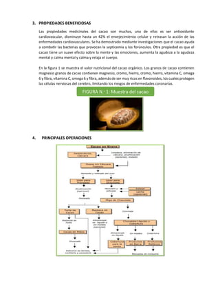 3. PROPIEDADES BENEFICIOSAS
Las propiedades medicinales del cacao son muchas, una de ellas es ser antioxidante
cardiovascular, disminuye hasta un 42% el envejecimiento celular y retrasan la acción de las
enfermedades cardiovasculares. Se ha demostrado mediante investigaciones que el cacao ayuda
a combatir las bacterias que provocan la septicemia y los forúnculos. Otra propiedad es que el
cacao tiene un suave efecto sobre la mente y las emociones, aumenta la agudeza a la agudeza
mental y calma mental y calma y relaja el cuerpo.
En la figura 1 se muestra el valor nutricional del cacao orgánico. Los granos de cacao contienen
magnesio granos de cacao contienen magnesio, cromo, hierro, cromo, hierro, vitamina C, omega
6 y fibra, vitamina C, omega 6 y fibra, además de ser muy ricos en flavonoides, los cuales protegen
las células nerviosas del cerebro, limitando los riesgos de enfermedades coronarias.
4. PRINCIPALES OPERACIONES
FIGURA N.° 1: Muestra del cacao
 