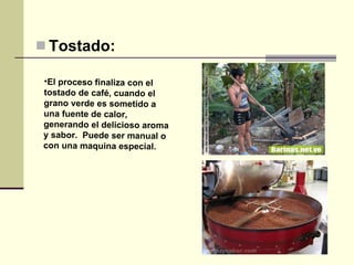 Tostado:   El proceso finaliza con el tostado de café, cuando el grano verde es sometido a una fuente de calor, generando el delicioso aroma y sabor.  Puede ser manual o con una maquina especial. 
