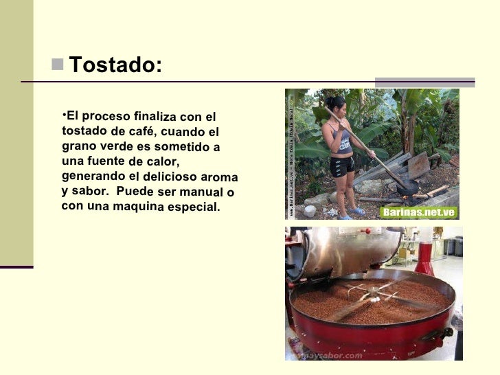 Proceso del cafe