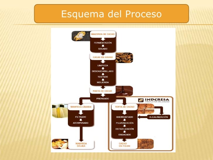 Proceso del chocolate