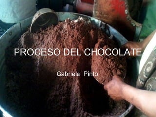 PROCESO DEL CHOCOLATE Gabriela  Pinto  