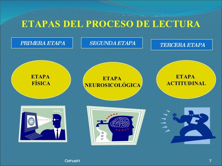 LOS TRES PROCESOS DE LA LECTURA
