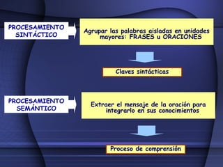 Proceso de lectura y escritura | PPT